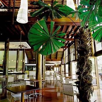 Cape Tribulation Resort & Spa Extérieur photo